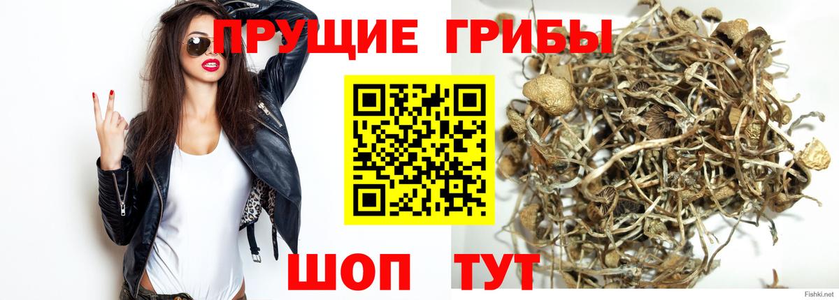 Галлюциногенные грибы мицелий Губкин